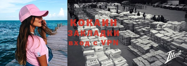 хмурый Арсеньев