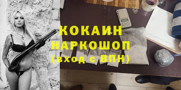 хмурый Арсеньев