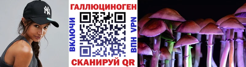 Галлюциногенные грибы Cubensis Староминская